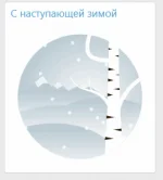 dsf34.webp